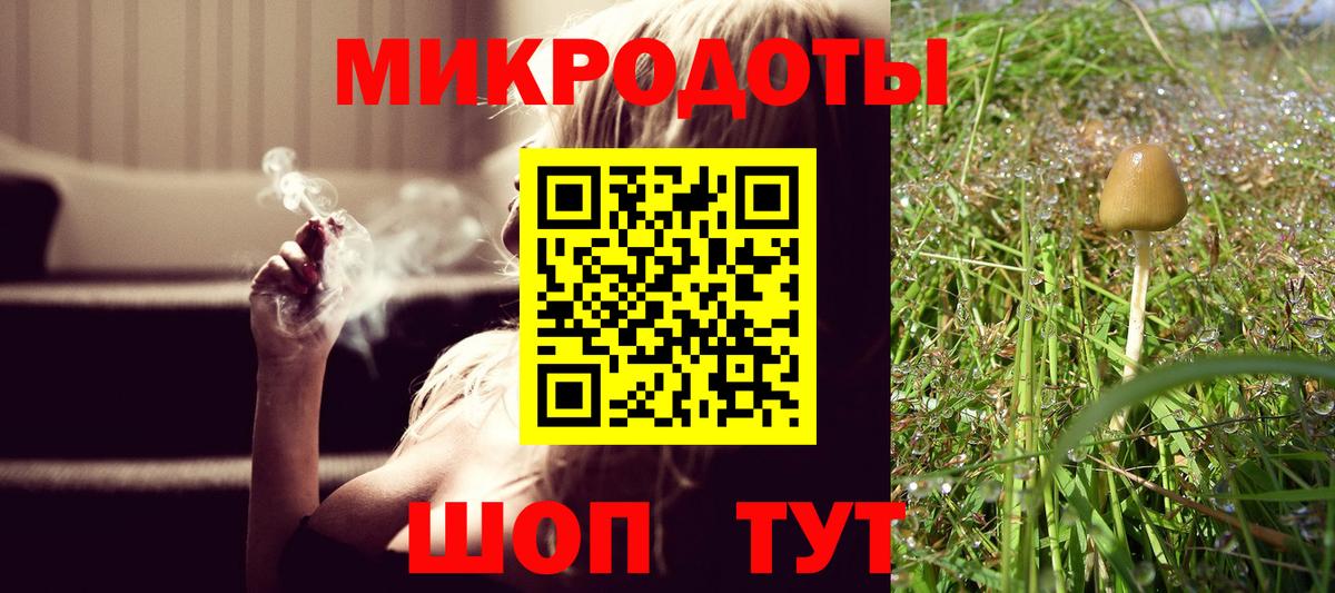 Галлюциногенные грибы Psilocybine cubensis Кизляр