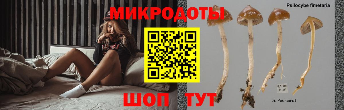 Галлюциногенные грибы ЛСД  где купить наркоту  Кизляр  Псилоцибиновые грибы Psilocybine cubensis  Вход с VPN 